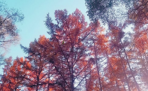 �������~���ľ��x5ƪ