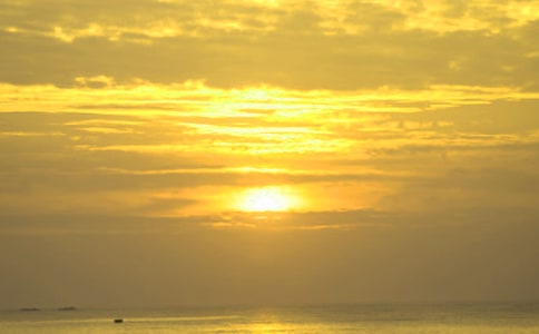 十月十日出售猜一常用詞語是什么