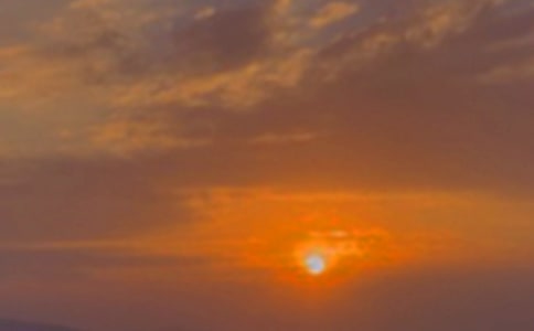 ����С�W����