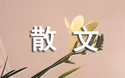 2018編導(dǎo)專業(yè)散文寫作的要領(lǐng)