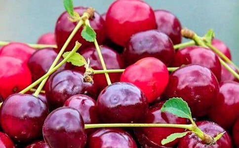 關(guān)于水果的德語詞匯