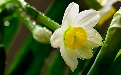 ����xُ�P��ˮ��-�P��ˮ�ɵĴ惦����