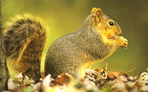 �˽̰桶������ɹ����̰�