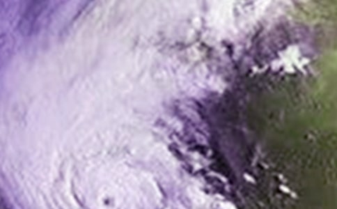 可怕的臺(tái)風(fēng)作文(通用29篇)