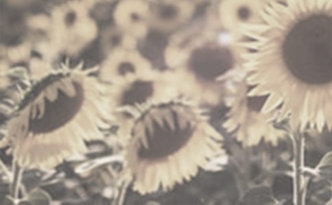 �^��̫ꖻ���ӛ3ƪ