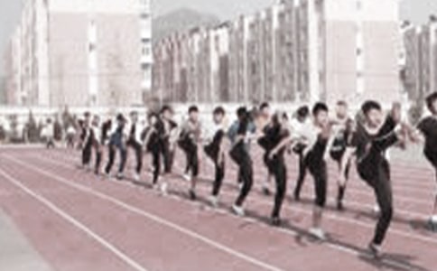 �w���̌W�����u�r