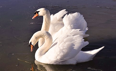 �J�����Z����Ԕ����B