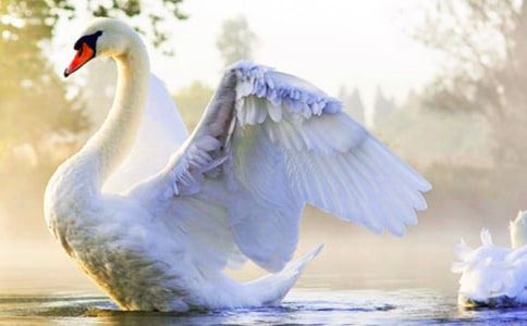 ���Z�c���ZͯԒ����