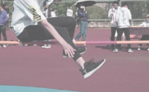 �������\(y��n)��(d��ng)�T�V����12ƪ