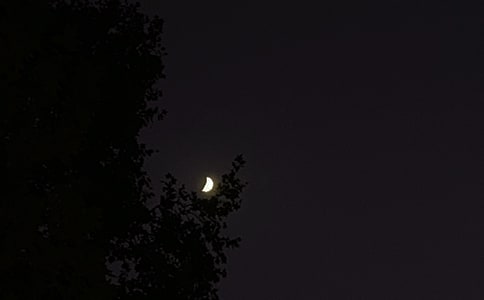 ��(j��ng)��ů���������Z165��