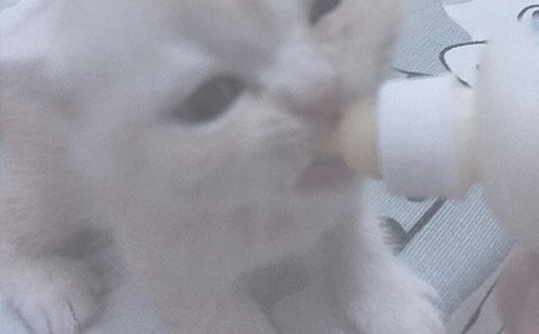 �oС؈ι�����꼉��������600�֣����x23ƪ��