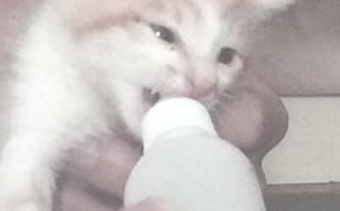 喂奶注意事項(xiàng)有哪些