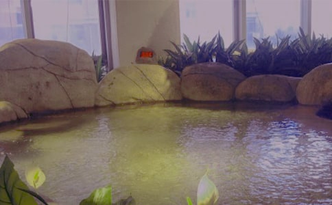 重慶南溫泉導游詞