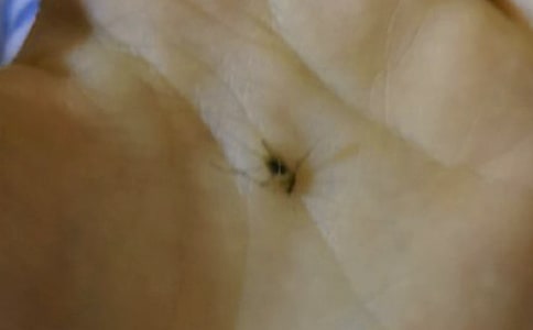 С�W(xu��)��������300��