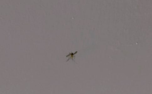 �P(gu��n)�����������ӵ�Ъ���Z