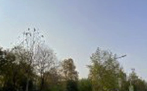 經(jīng)典正能量午安寄語大全80句