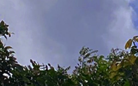 �P�ڂ����簲���Z��ȫ100��