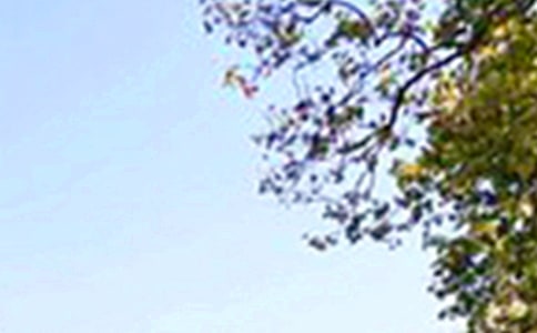 經(jīng)典治愈午安寄語(yǔ)大全90句