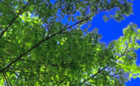 經(jīng)典朋友圈午安寄語80句