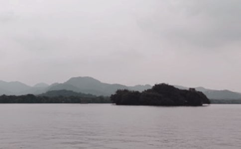 西湖龍井茶的功效