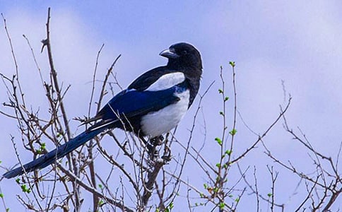 ϲ�o������400����ƪ