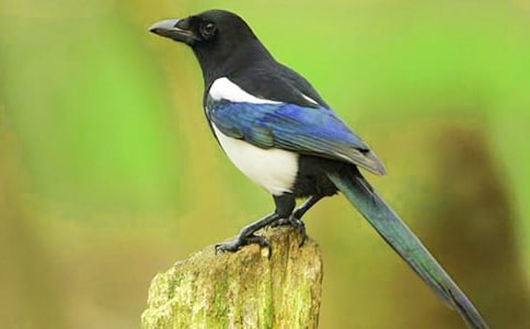 ����Ц��Сϲ�oͯԒ���£�ͨ��14ƪ��