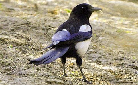 ���P(gu��n)ϲ�o��Ъ���Z50��