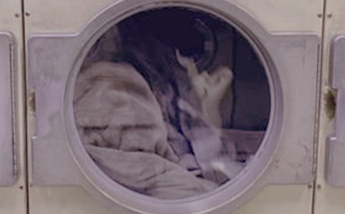 寢室洗衣機管理制度范本