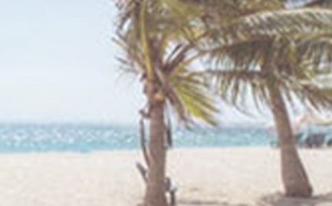 �ļ�ʮ�����ٵ�