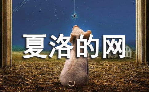 夏洛的網(wǎng)讀后感800