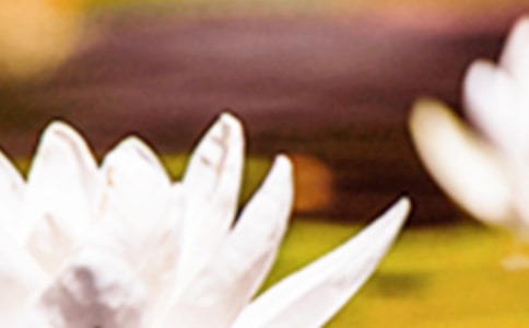 �����������@Щ���R(sh��)��֪����?