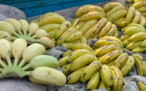 烏鴉和香蕉的幽默笑話