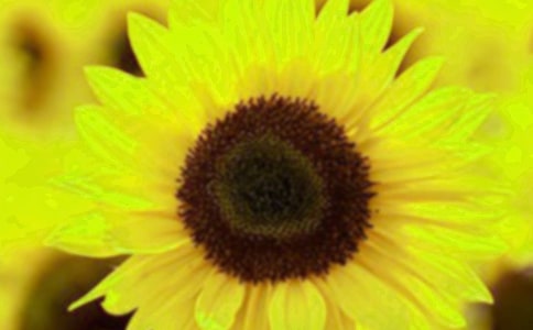 �P(gu��n)�����տ���Ψ�����Ӿ��x