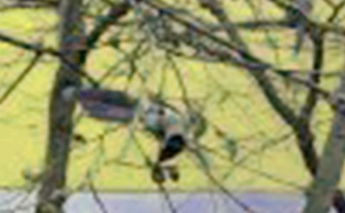 ����С�B����[��]