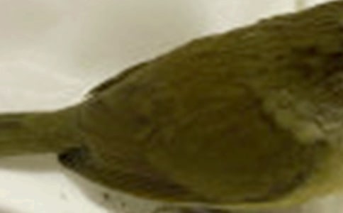 С�B����[��(j��ng)��]