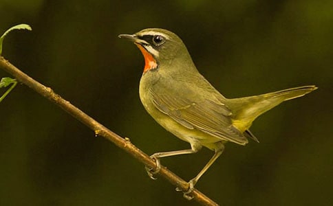 [��(y��u)]��(sh��)�õ�С�B����