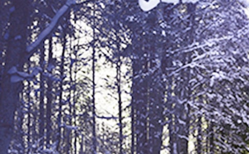 小雪節(jié)氣的習(xí)俗