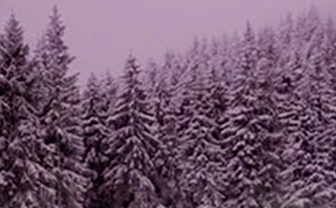 小雪節(jié)氣諺語