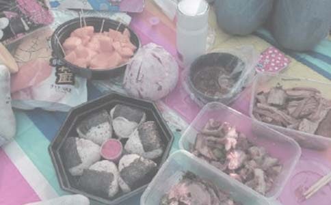 野餐日記模板匯總8篇