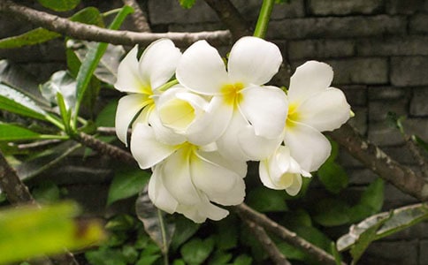 �茑ҹ����ă�(y��u)������