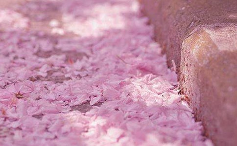 �ѻ��zӰ��ʲô����