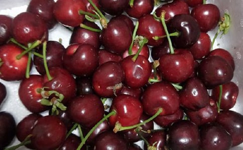 歐亞全體員工赴櫻桃溝開展拓展訓(xùn)練