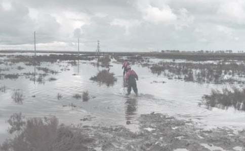 ���c���ﹲ���L(zh��ng)����