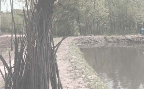 �������~(y��)���а���ͬ