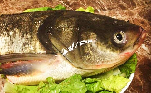 魚頭火鍋廣告語