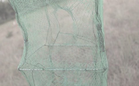 �O�W(w��ng)�����ЌW(xu��)����600��