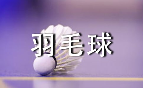 羽毛球賽策劃書(shū)15篇