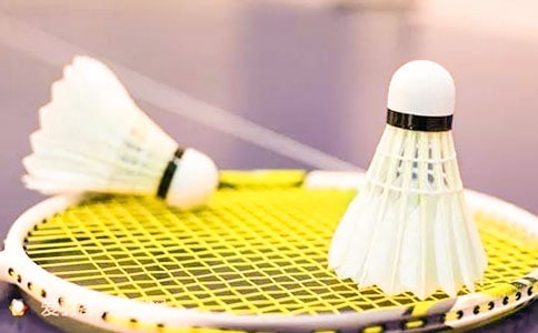 企業(yè)羽毛球比賽策劃書