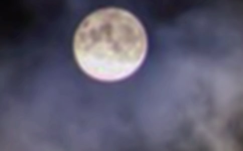 月圓之夜作文500字