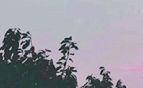 �����簲���Z�����x190�䣩